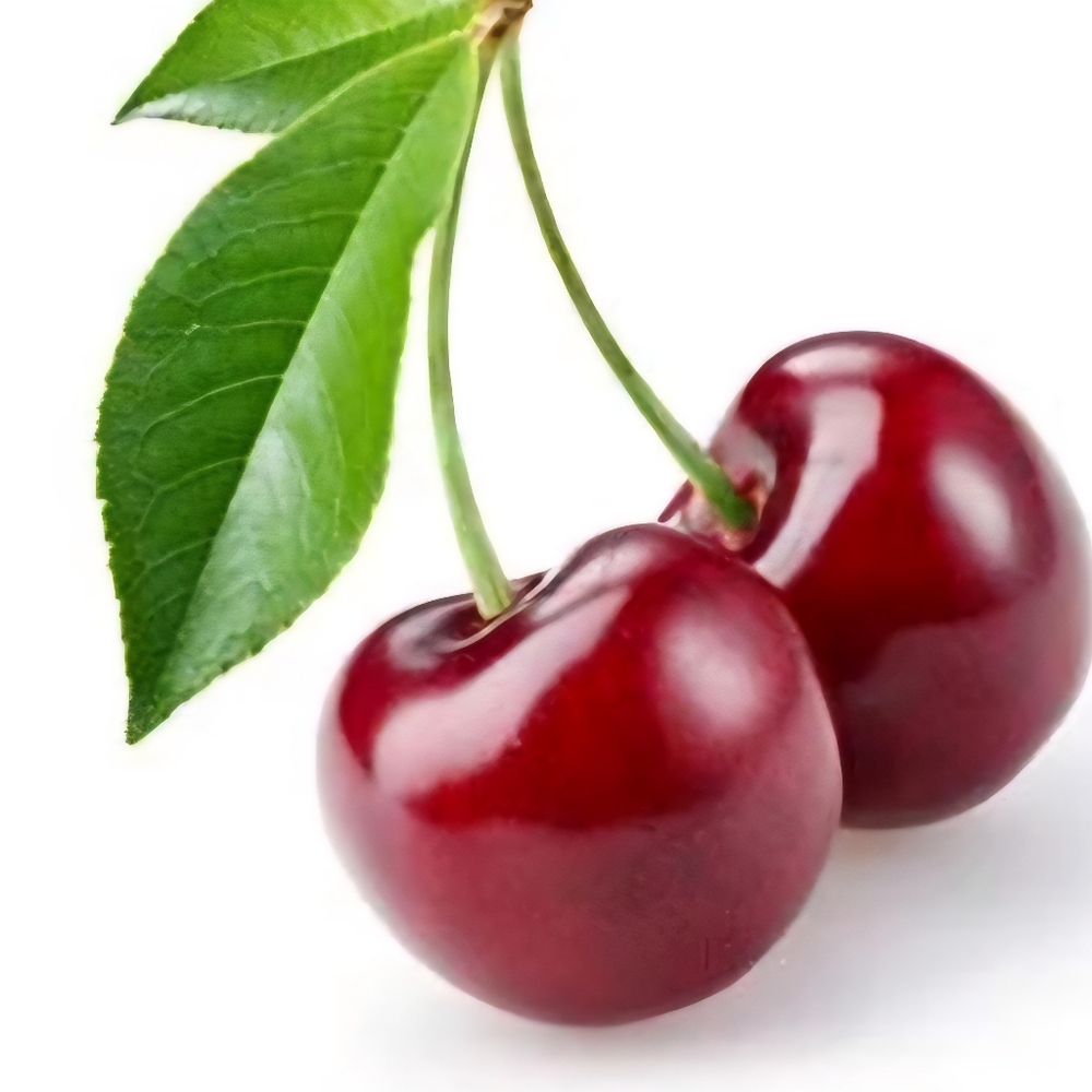 Cherry Tree Cuttings X3 Unrooted Clippings, YOU PROPAGATE